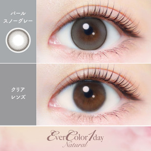 EverColor1day – Natural Pearl Snow Gray 日拋 每盒20片